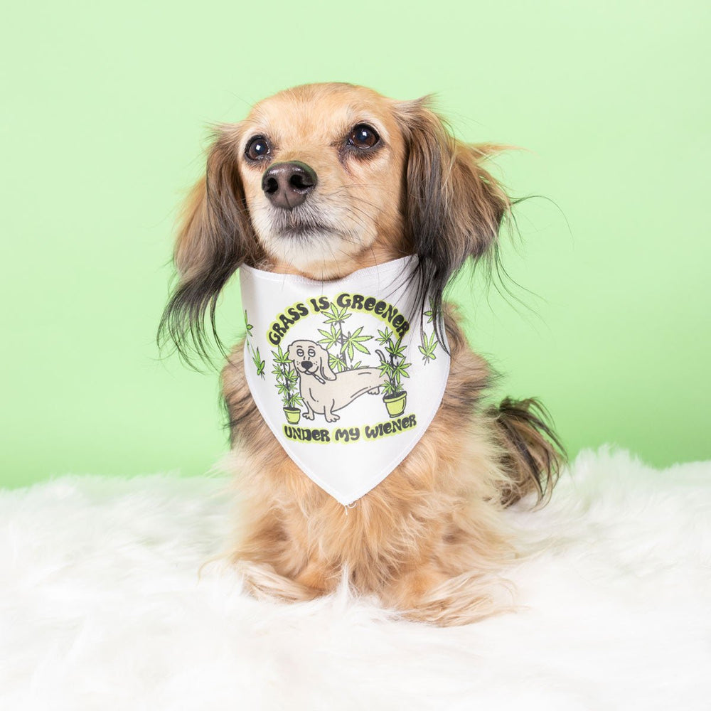 grass is greener under my wiener dog bandana - bean goods