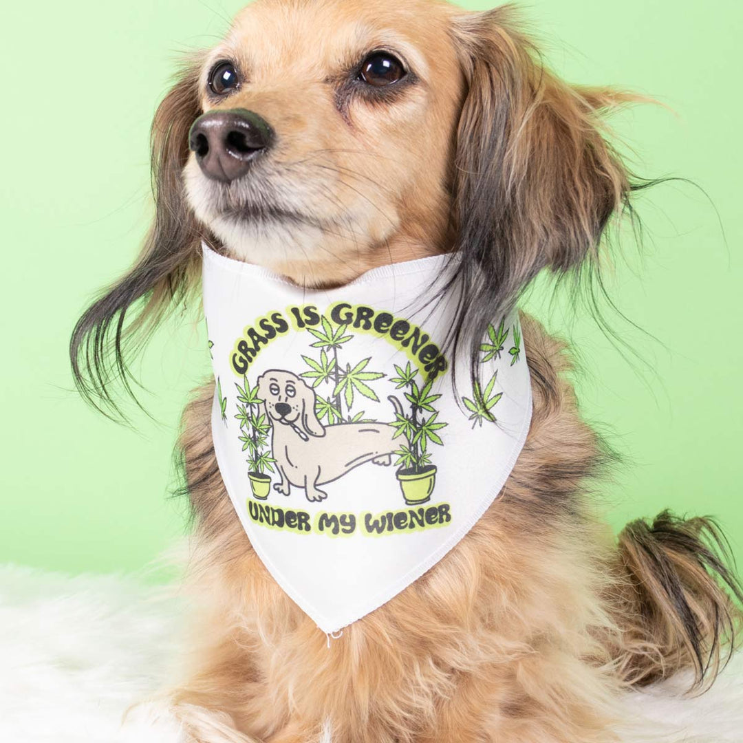 grass is greener under my wiener dog bandana - bean goods