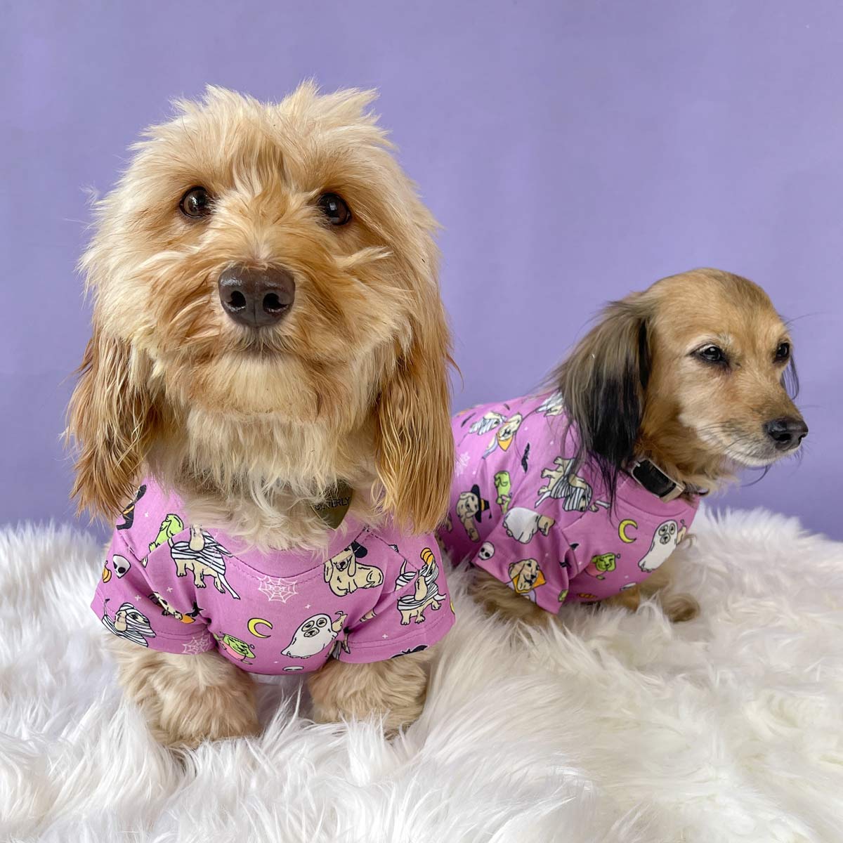 halloweenie doggo tee - bean goods