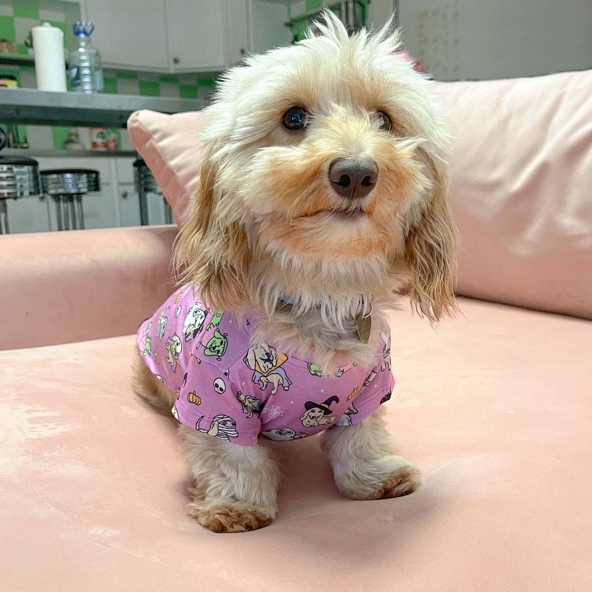 halloweenie doggo tee - bean goods