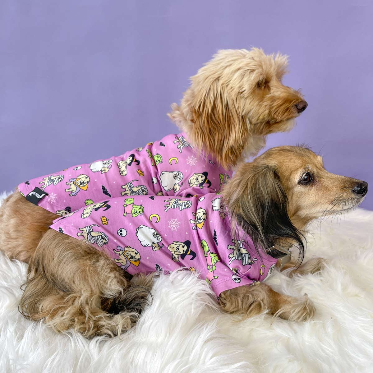 halloweenie doggo tee - bean goods