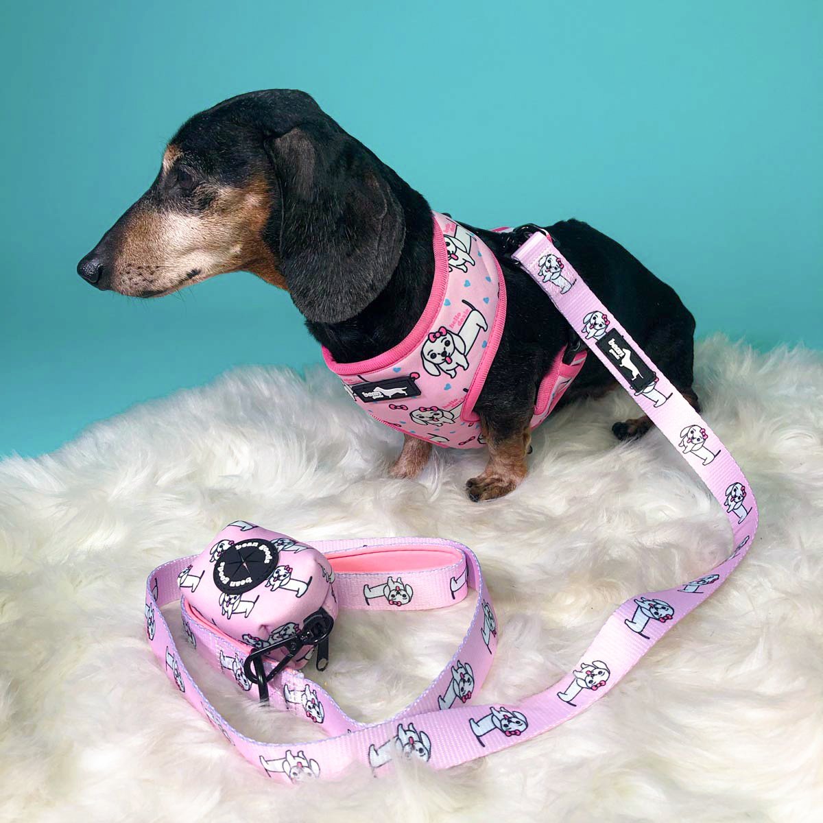 hello doxie reversible harness - BeanGoods