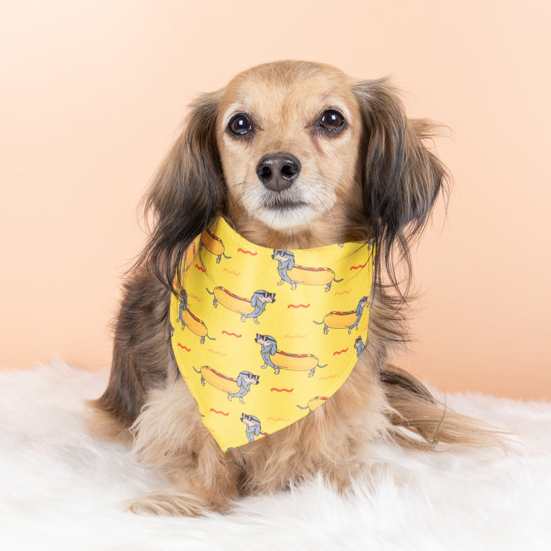 hot dog dog bandana - bean goods