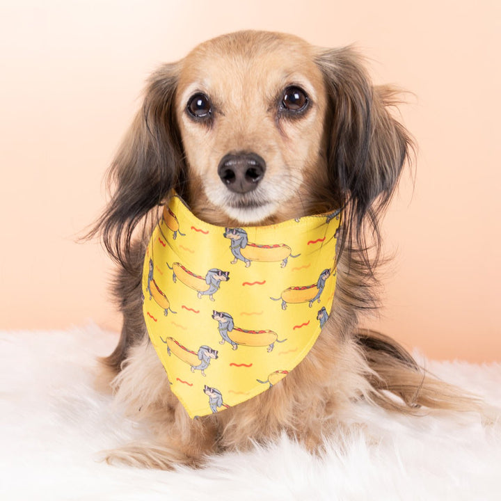 hot dog dog bandana - bean goods