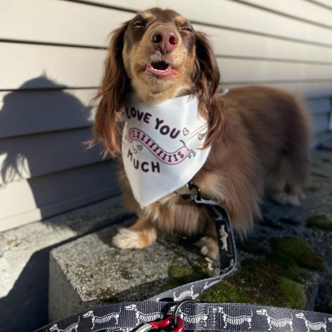 i love you thiiiiiis much dog bandana - bean goods