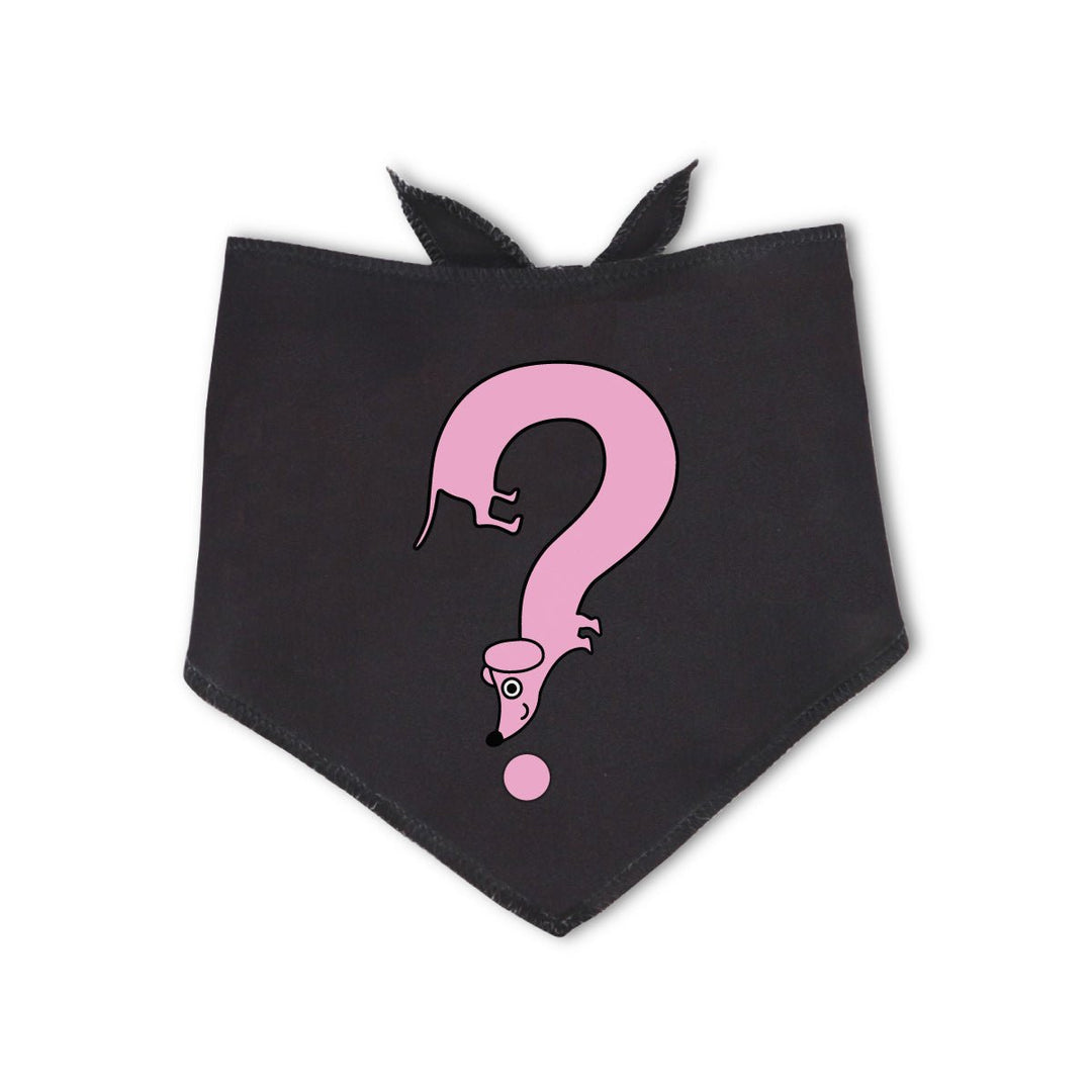 IMPERFECTS | MYSTERY DOG BANDANA - bean goods