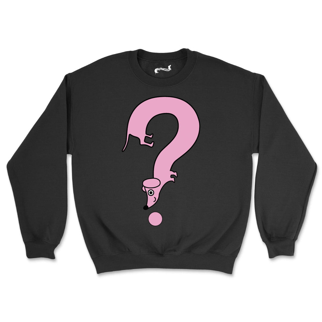 IMPERFECTS | MYSTERY SWEATSHIRT - bean goods