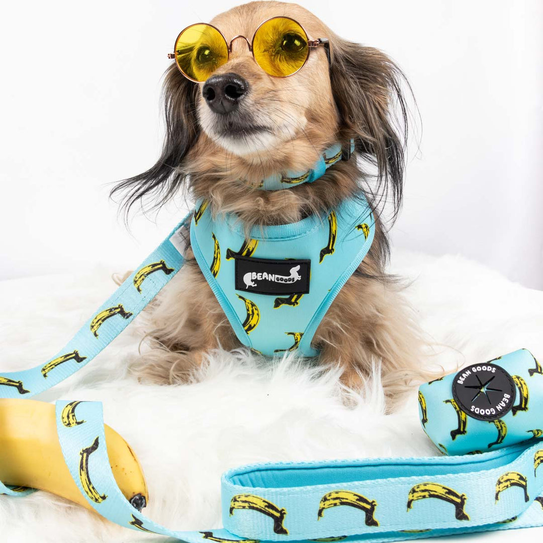 leash - banana wiener - bean goods