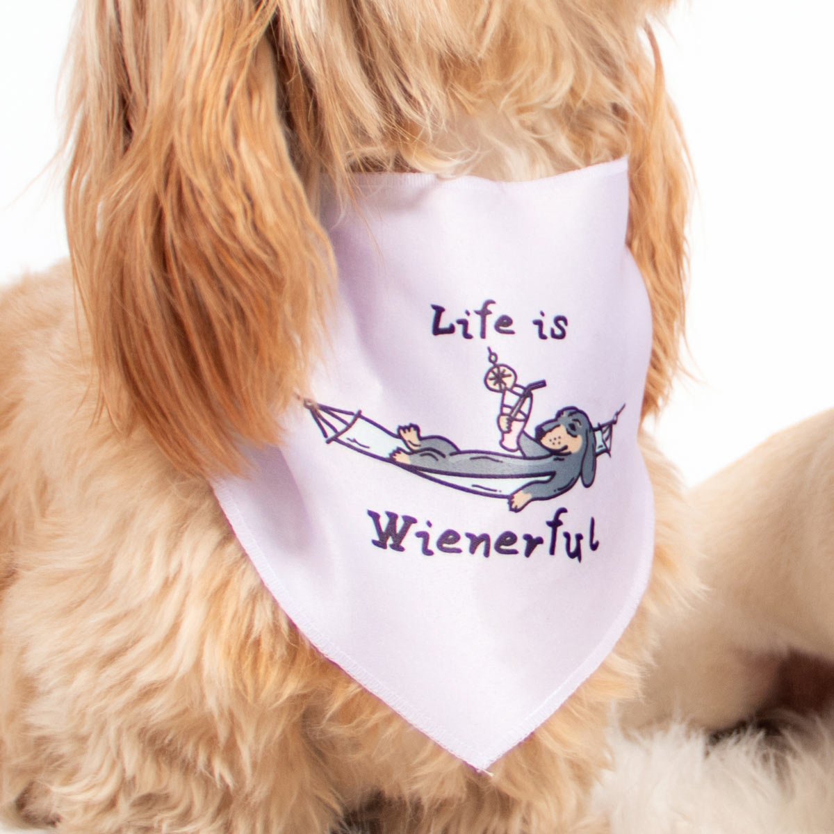 life is wienerful dog bandana - bean goods