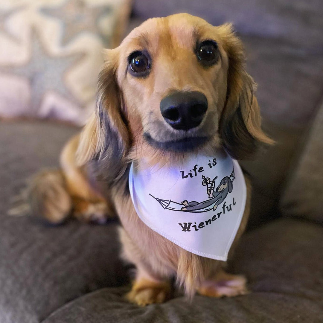 life is wienerful dog bandana - bean goods