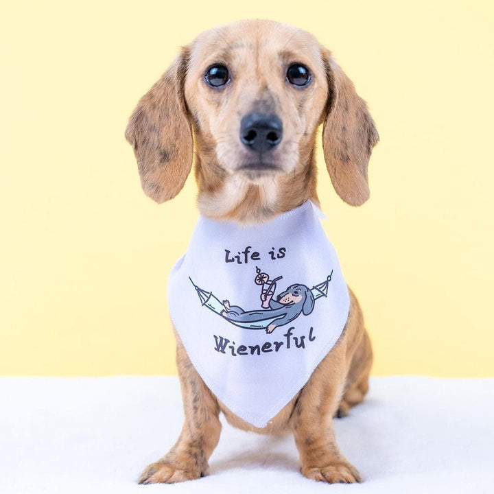 life is wienerful dog bandana - bean goods