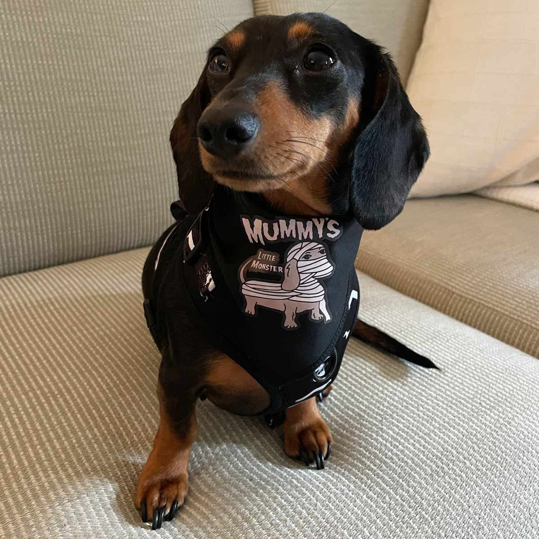 mummy’s little monster dog bandana - bean goods