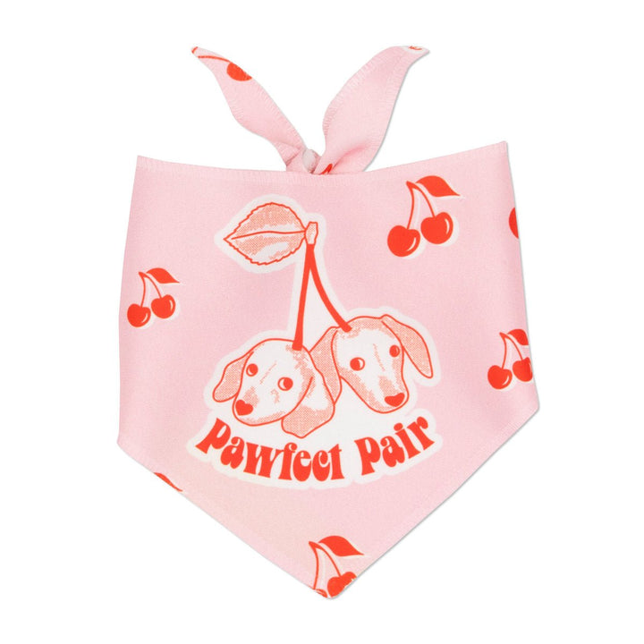 pawfect pair bandana - bean goods