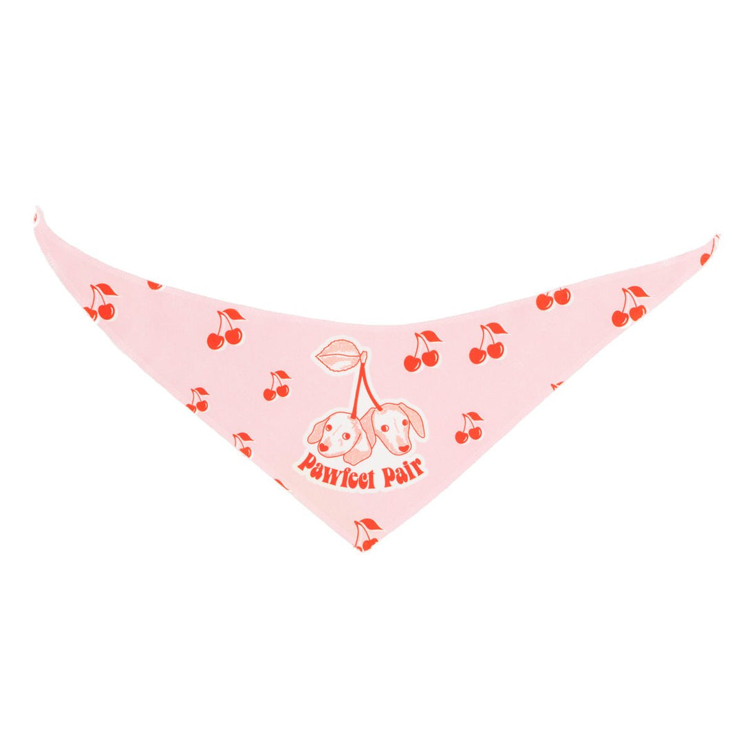 pawfect pair bandana - bean goods