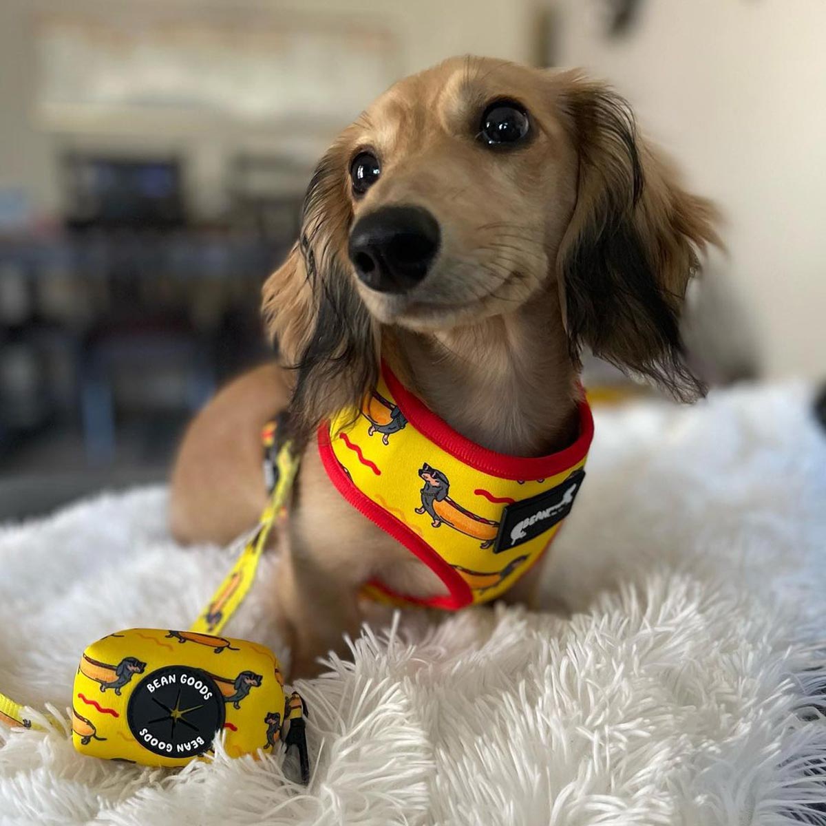 スペシャル 90s DOGPILE チェック ボンテージ ショーツ USA製 Poop Bag Pouch for Dachshund Lovers | Hot Dog – bean goods
