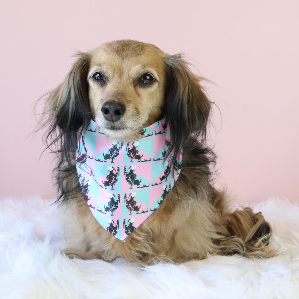 pop art pups dog bandana - bean goods