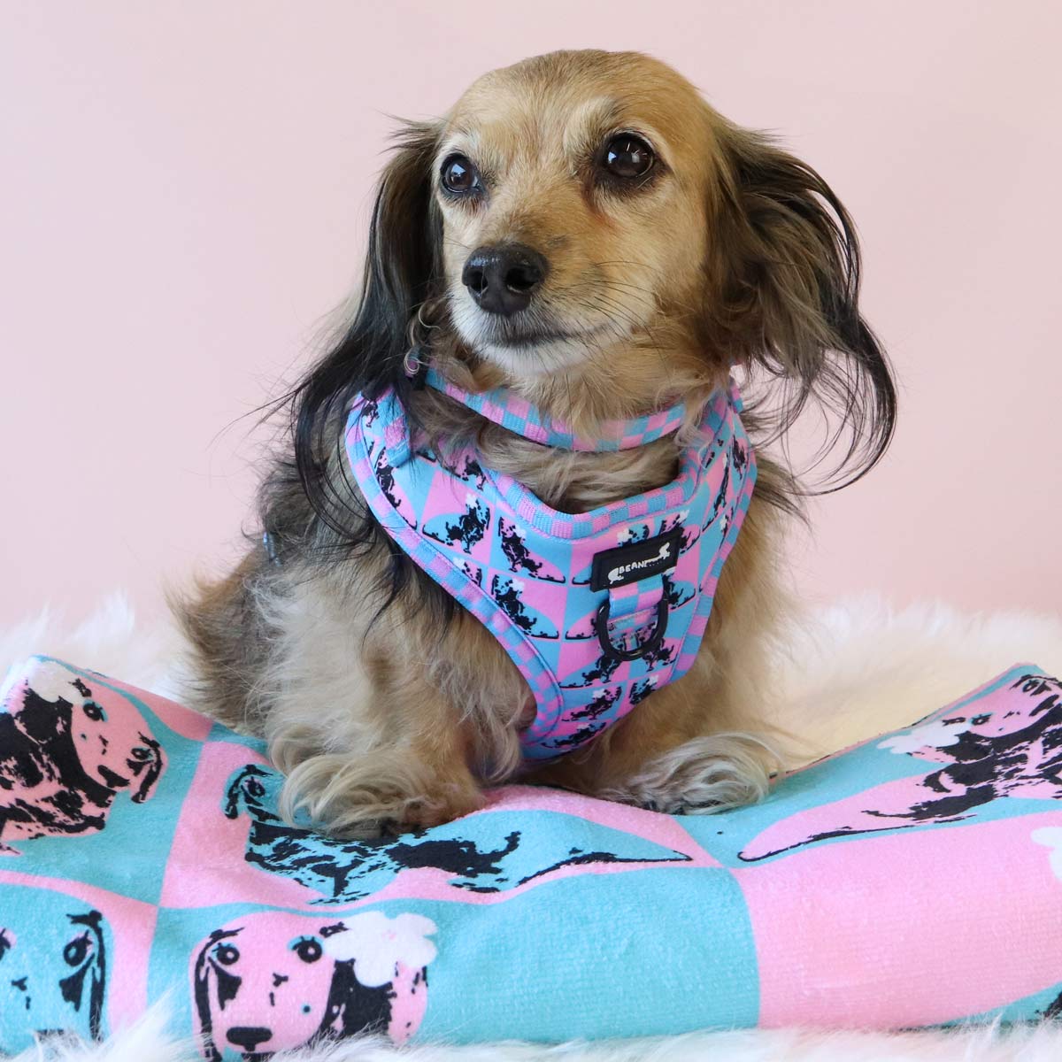 pop art pups towel - bean goods