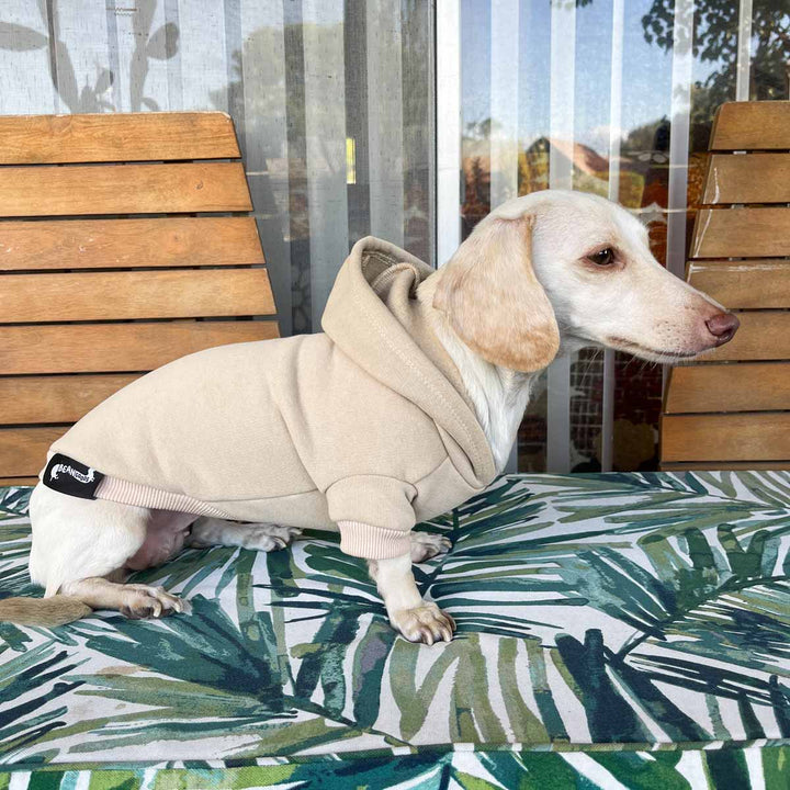 *pre-order* doxie hoodie | blonde - bean goods