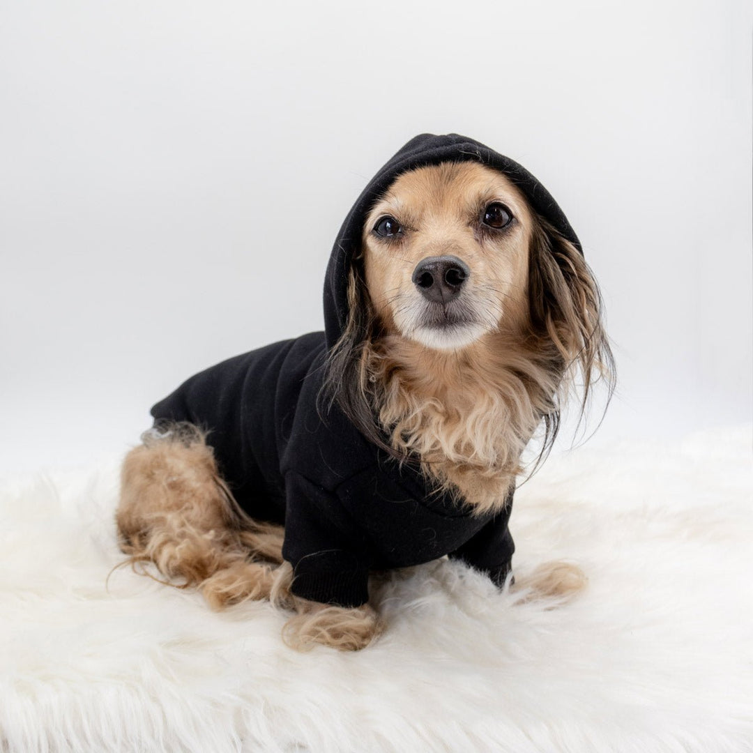 *pre-order* doxie hoodie | midnight - bean goods