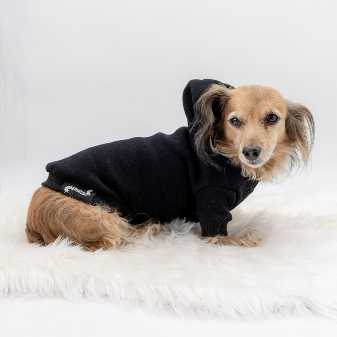 *pre-order* doxie hoodie | midnight - bean goods