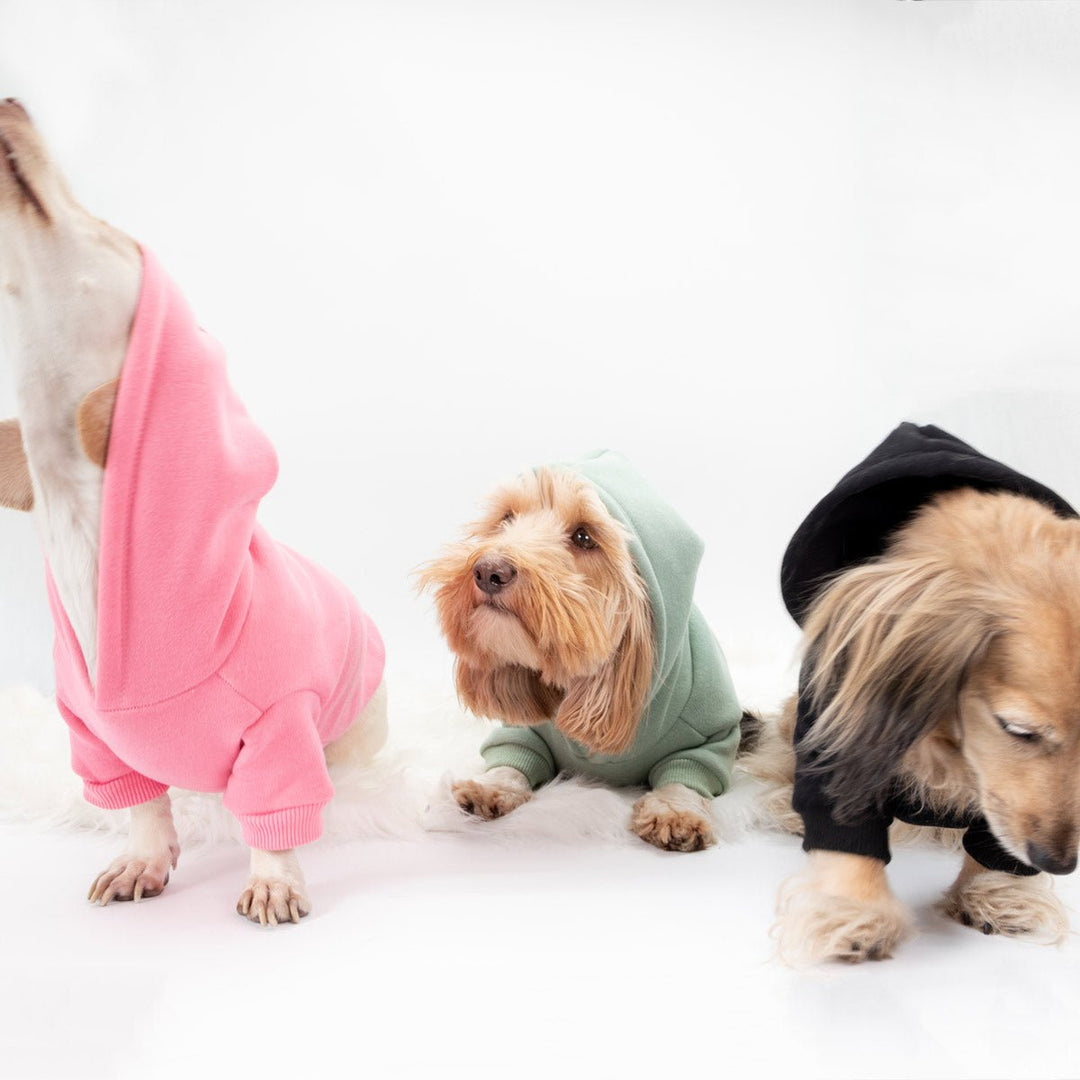 *pre-order* doxie hoodie | sage - bean goods