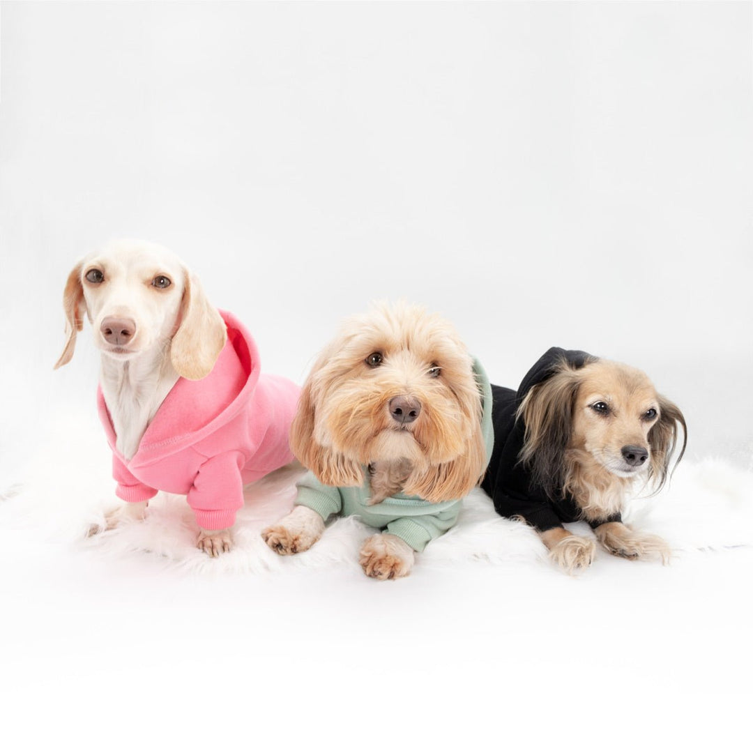 *pre-order* doxie hoodie | sage - bean goods