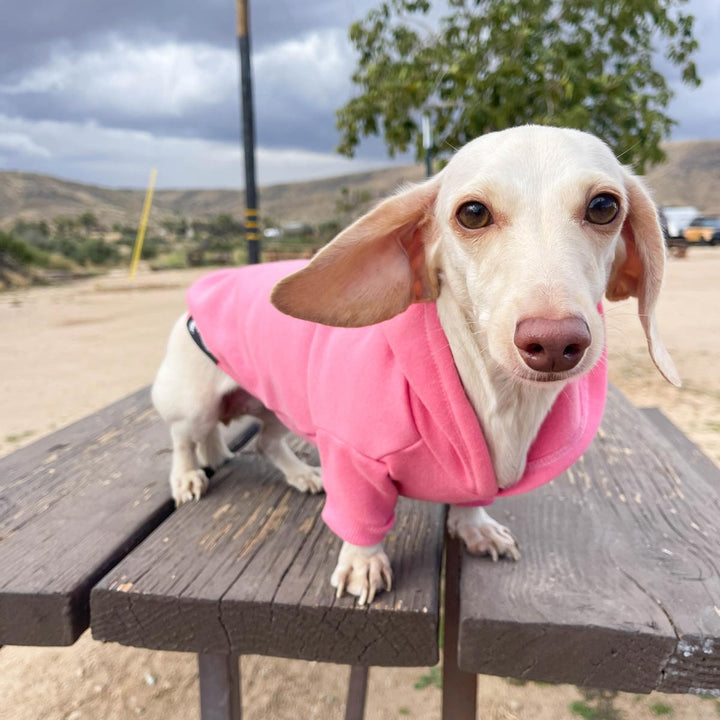 *pre-order* doxie hoodie | ween pink - bean goods