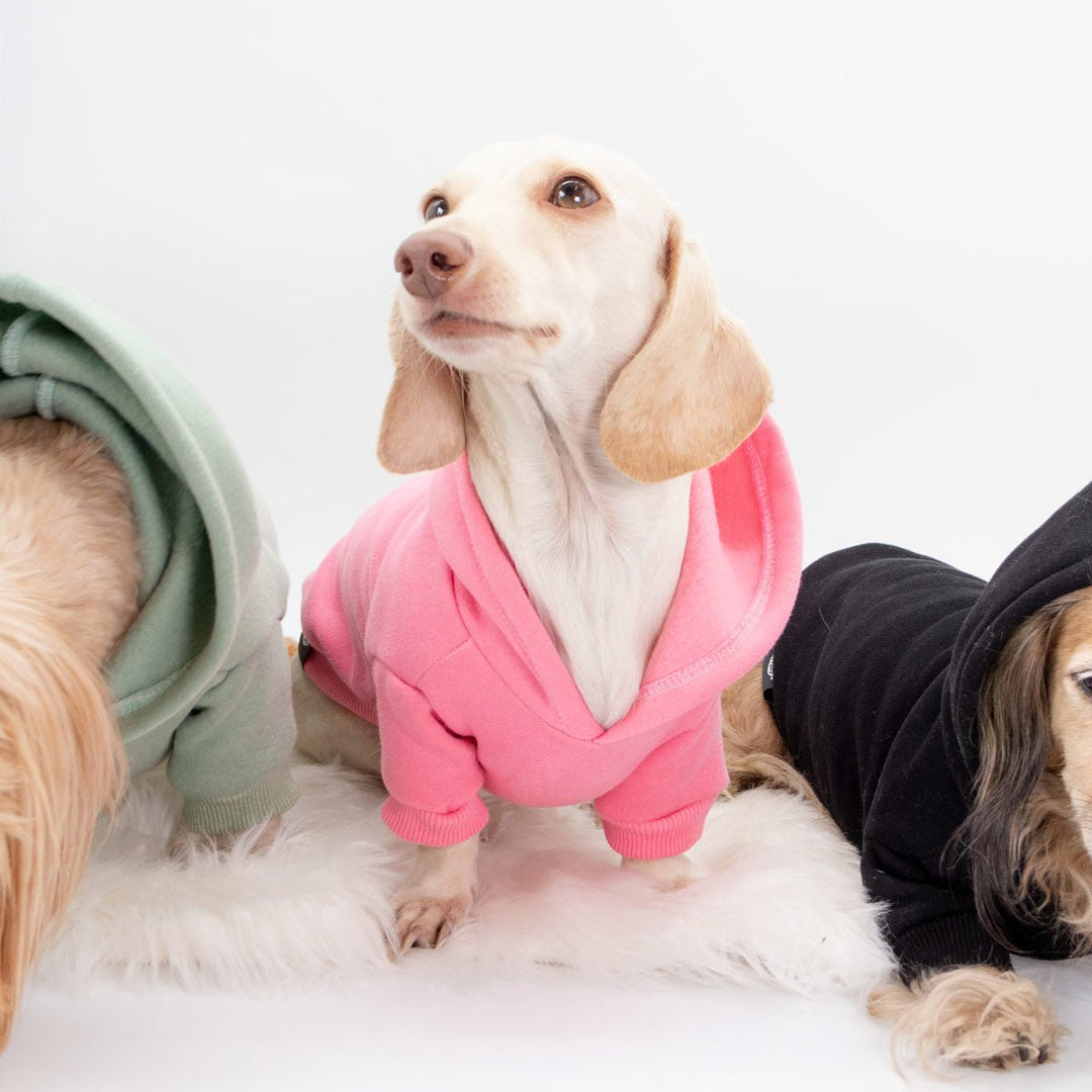 *pre-order* doxie hoodie | ween pink - bean goods