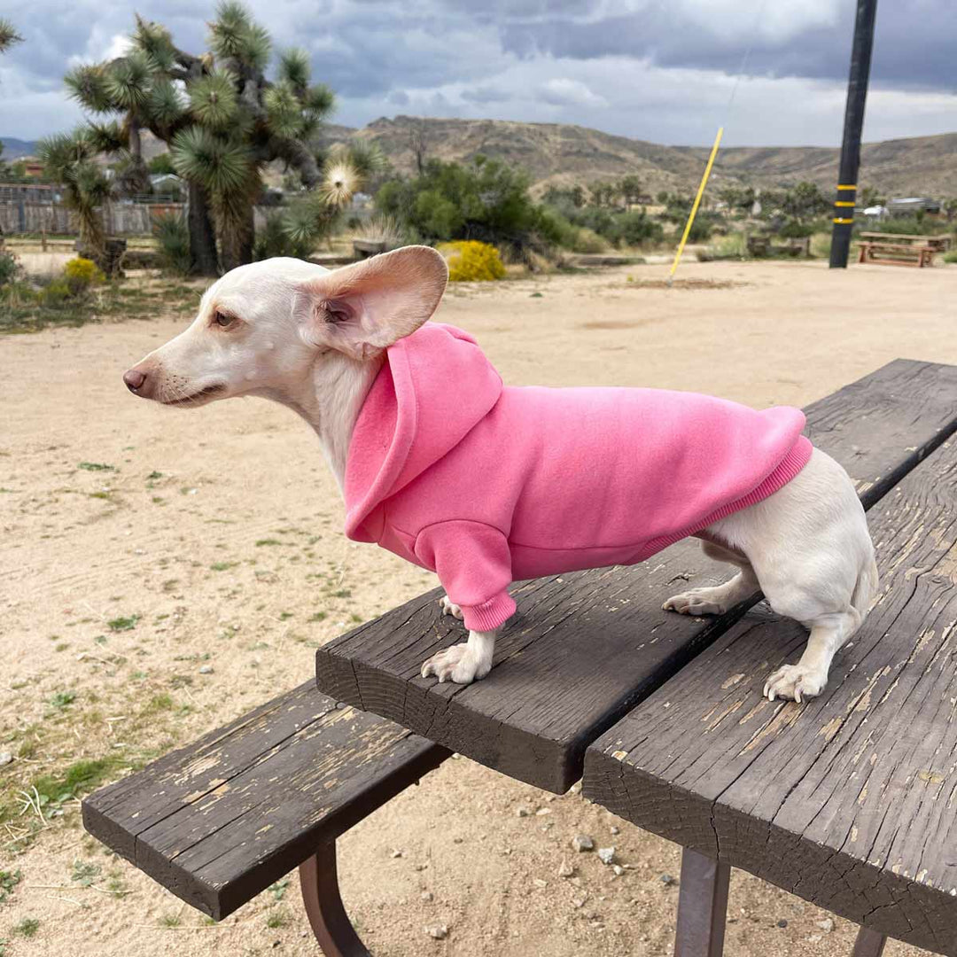 *pre-order* doxie hoodie | ween pink - bean goods