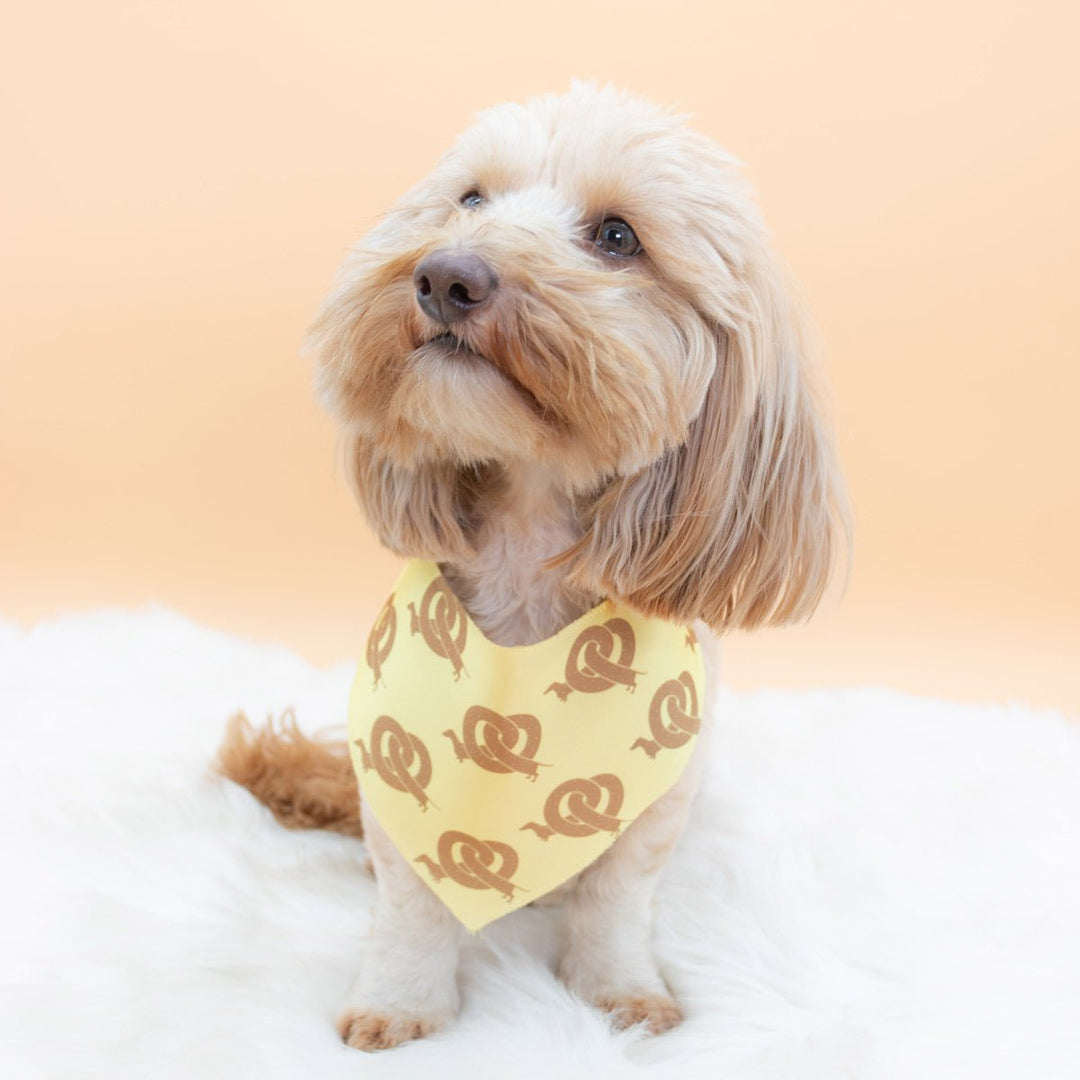 pretzel ween dog bandana - bean goods