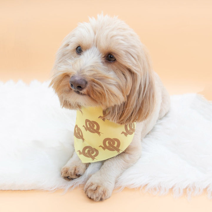 pretzel ween dog bandana - bean goods