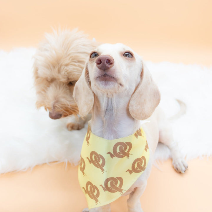 pretzel ween dog bandana - bean goods