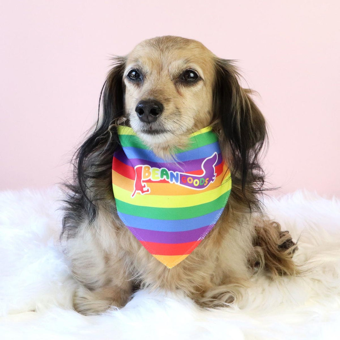 pride dog bandana - bean goods