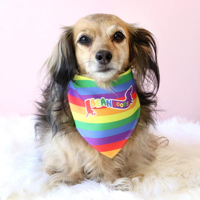 pride dog bandana - bean goods