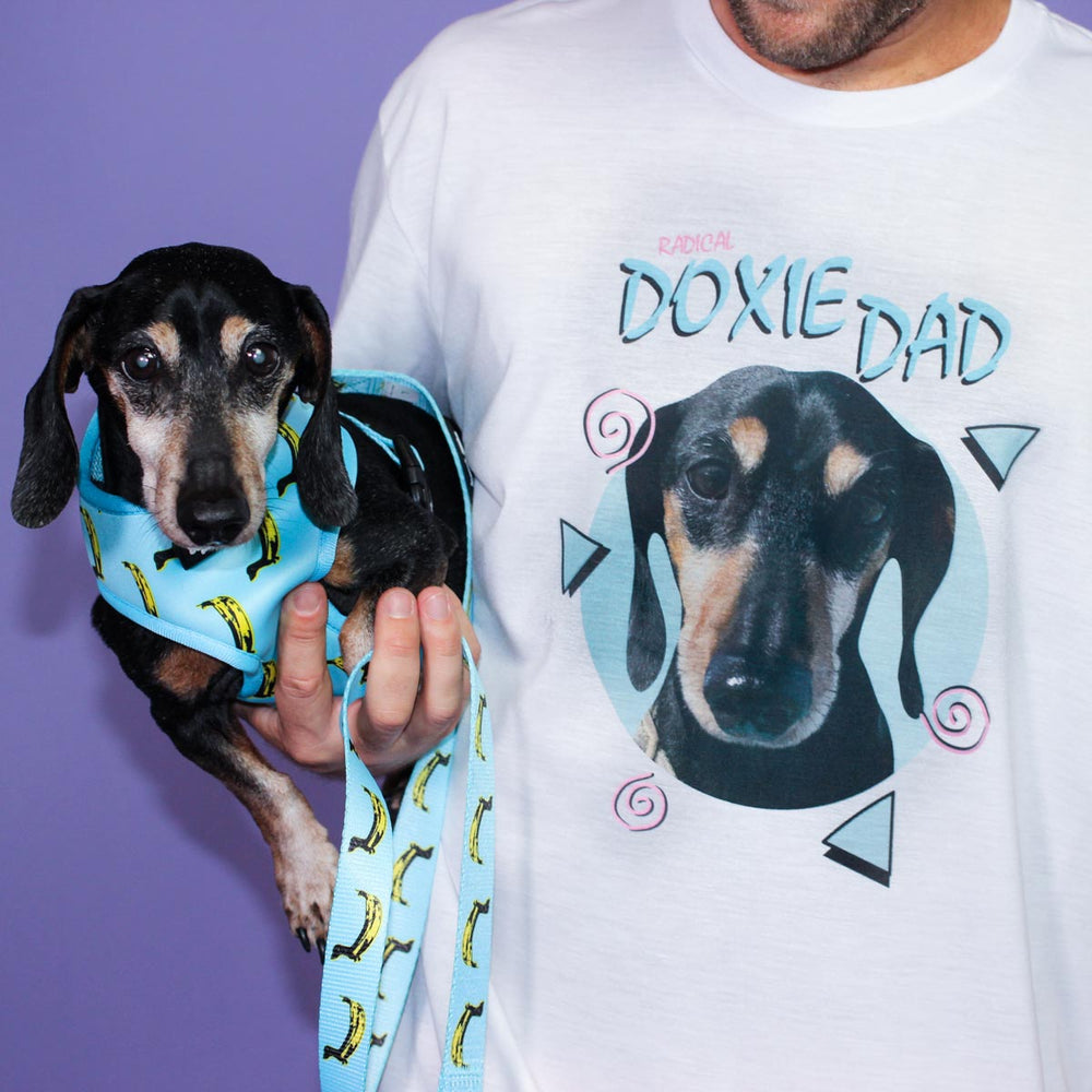 rad doxie dad custom dog tee - BeanGoods