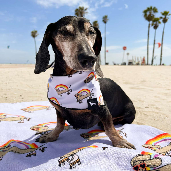 rainbow weenie beach towel - BeanGoods