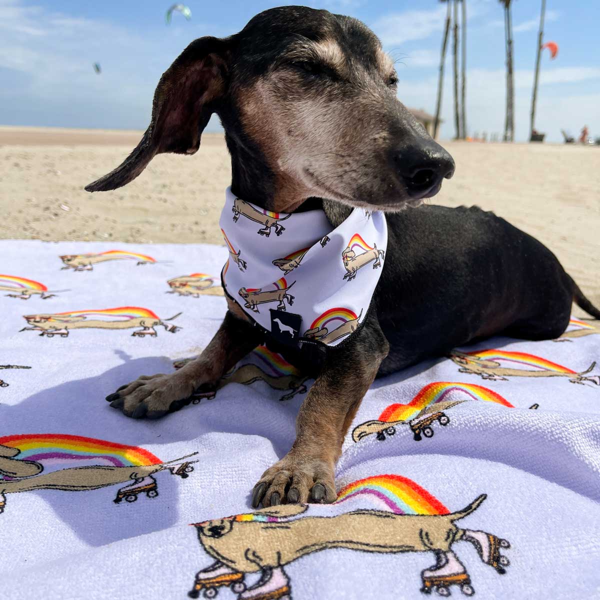rainbow weenie beach towel - BeanGoods