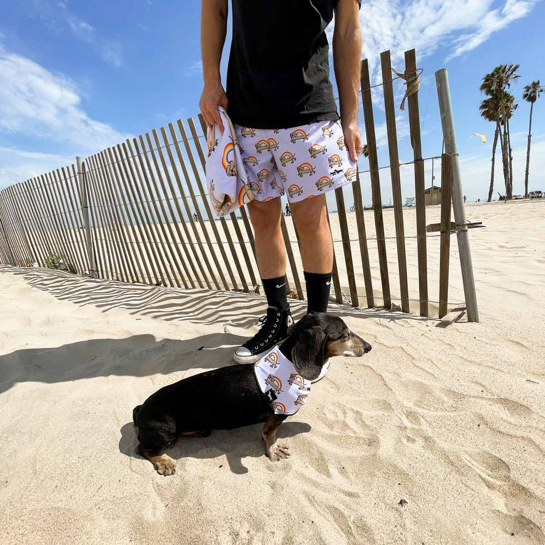 rainbow weenie men's swim shorts - BeanGoods