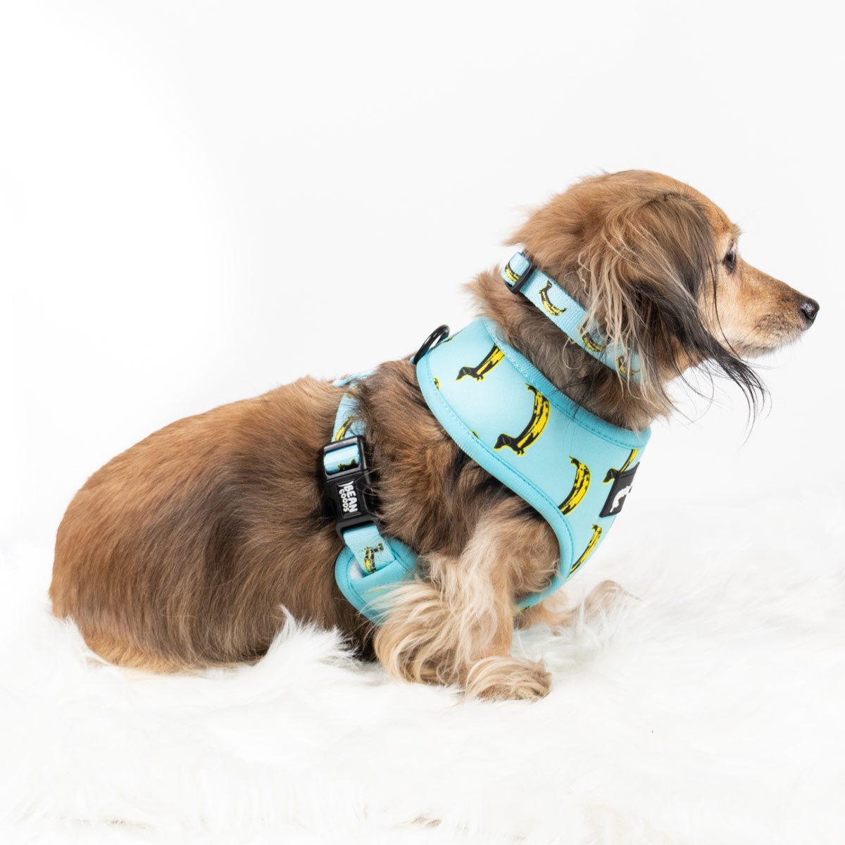 reversible harness banana wiener