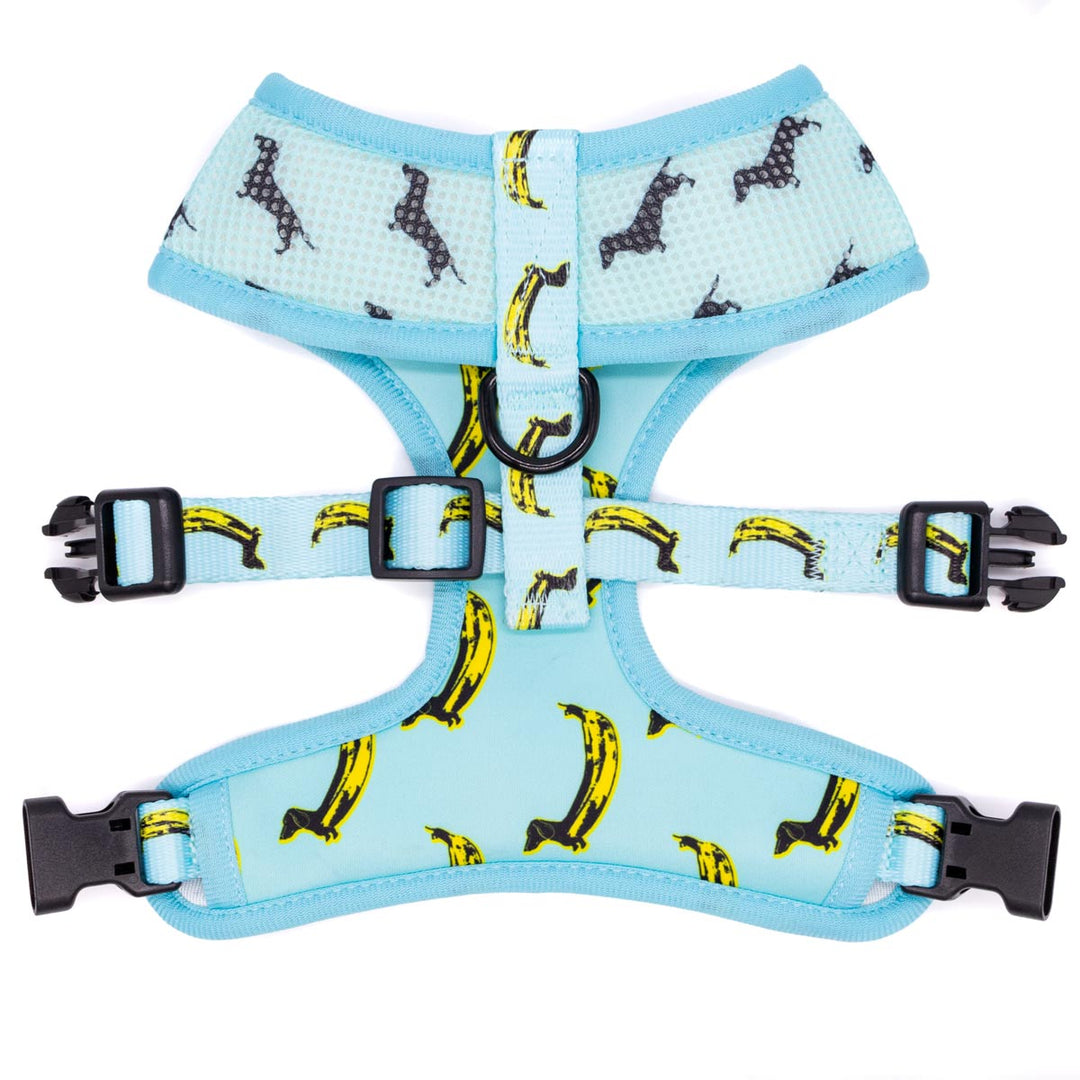 reversible harness - banana wiener - bean goods