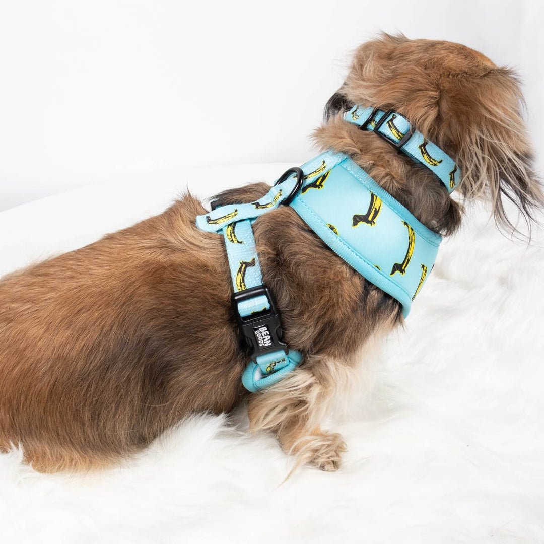 reversible harness - banana wiener - bean goods