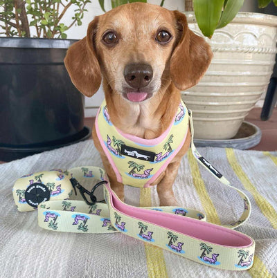 reversible harness - doxie palm - bean goods