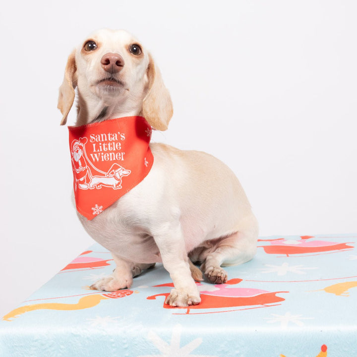 santa's little wiener dog bandana - bean goods