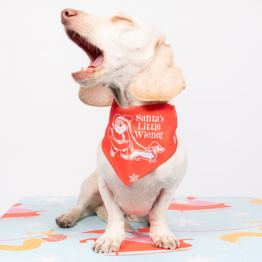 santa's little wiener dog bandana - bean goods