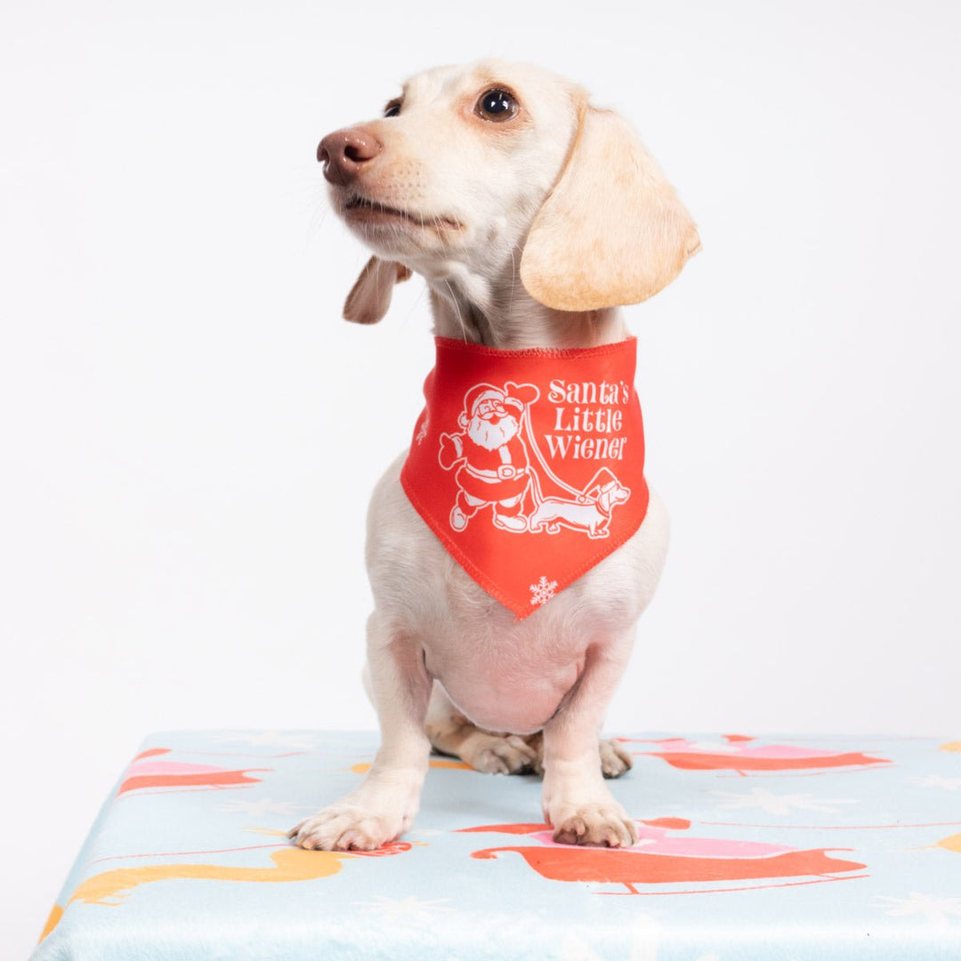 santa's little wiener dog bandana - bean goods