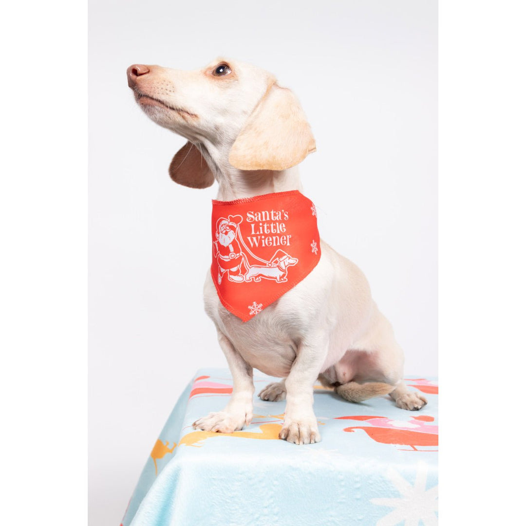 santa's little wiener dog bandana - bean goods