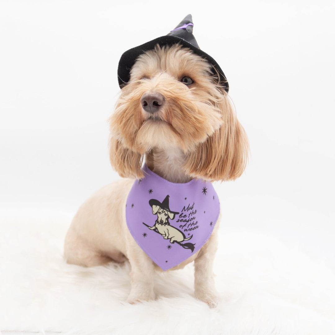 season of the ween dog bandana - bean goods