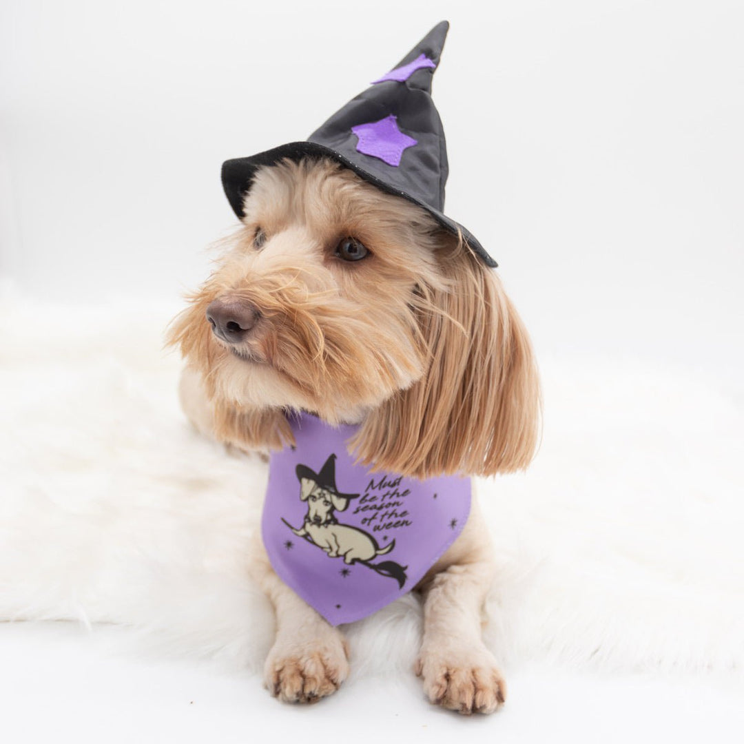 season of the ween dog bandana - bean goods