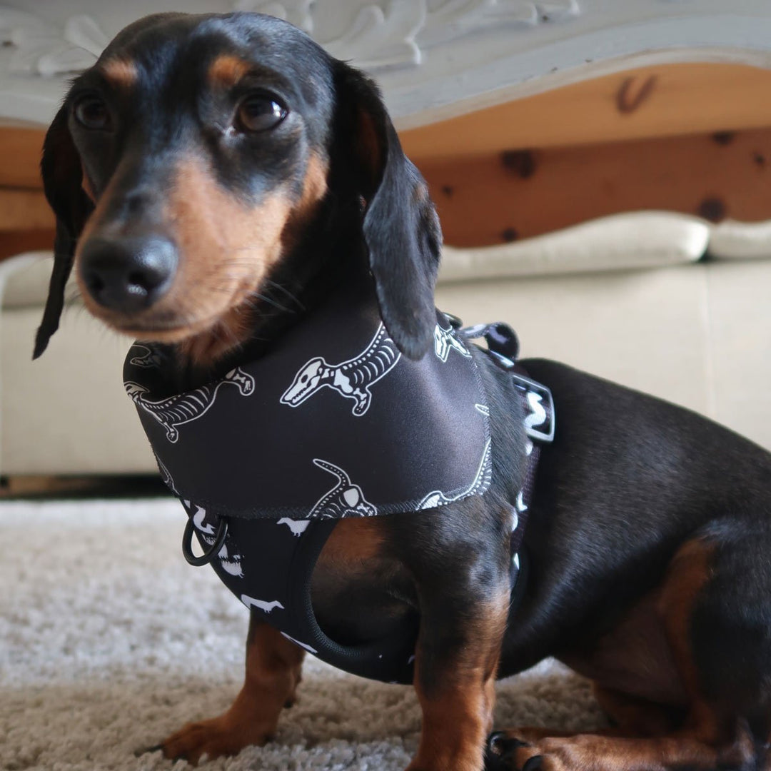 skeleween dog bandana - bean goods