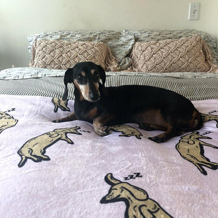 sleeping wieners plush blanket 60" x 80" - BeanGoods